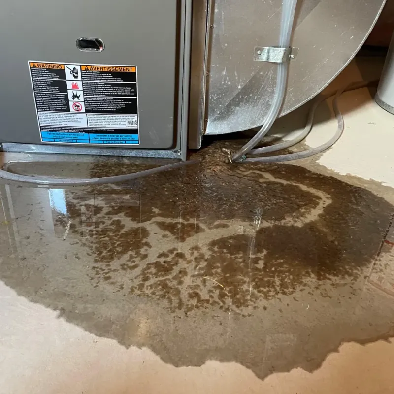 Appliance Leak Cleanup in Marysville, MI