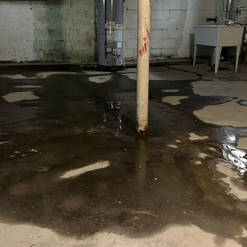 Emergency Water Extraction And Removal in Marysville, MI